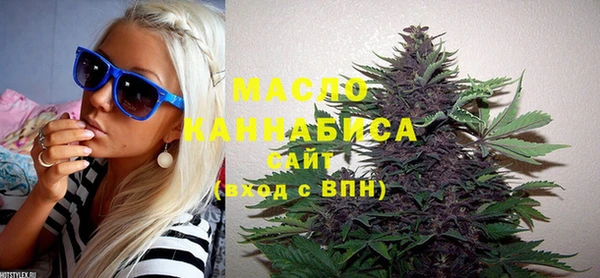 тгк Каменка