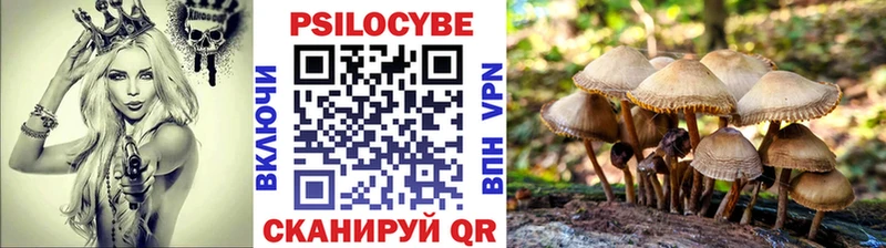 Псилоцибиновые грибы прущие грибы  блэк спрут маркетплейс  сайты даркнета официальный сайт  Верхнеуральск 